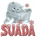 SUADA