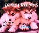 Best Friends