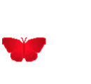 farfallina rossa