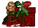 Pam Christmas Gift