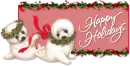 Happy Holidays>>>Seals