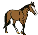 canter on