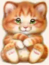 Red kitten