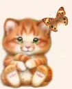 Red kitten and the butterfly