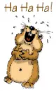 squirrel's laughing