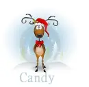 Candy