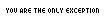 Only Exception