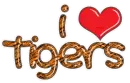 tigers