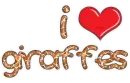 i <3 giraffes