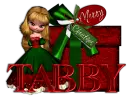 Tabby Christmas Gift