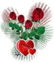 heart roses