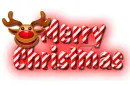 Merry Christmas: Reindeer