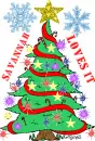 Christmas Tree ~ Savannah Loves It