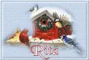 Festive Feeding - Rita