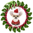 cute christmas dog wreath