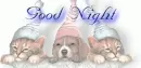 Good Night