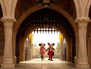 minnie and mikey