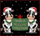 Two Cows