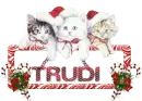TRUDI