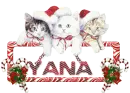 YANA
