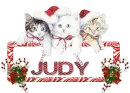 JUDY
