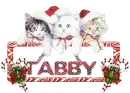 TABBY
