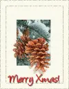 Pinecones