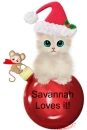 Christmas Cat - Savannah loves it