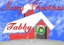 Tabby