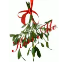 Mistletoe ~ Kiss Me