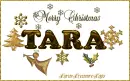 Merry Christmas in gold Tara