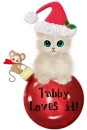 Christmas Cat - Tabby loves it