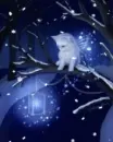 Snowflake Fairy Tale