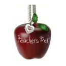 Apple ~ Teacher's Pet