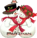 Parihan