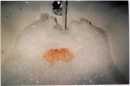bath