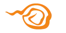 Uzumaki Swirl Left