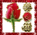 Ã§iÃ§ek gif
