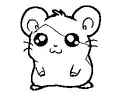 Hamha!