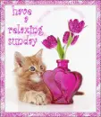 Have a relaxing sunday