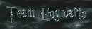 Team Hogwarts