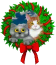 Kitty X Mass