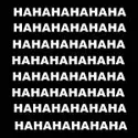 hahahaha