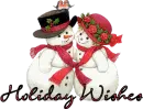 Holiday Wishes
