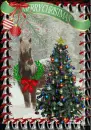 Christmas Horse ~ Merry Christmas