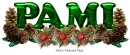 Pami pinecones