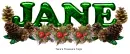 Jane pinecones