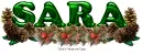 Sara pinecones