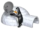 satellite penguin