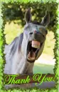 Horse Sense~ Thank You